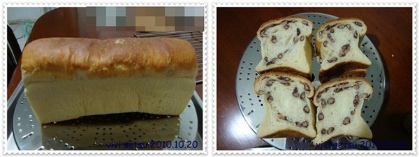 DSC08617a.JPG
