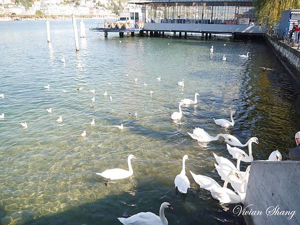 Lucerne/Luzern