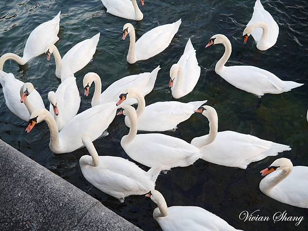 Lucerne/Luzern