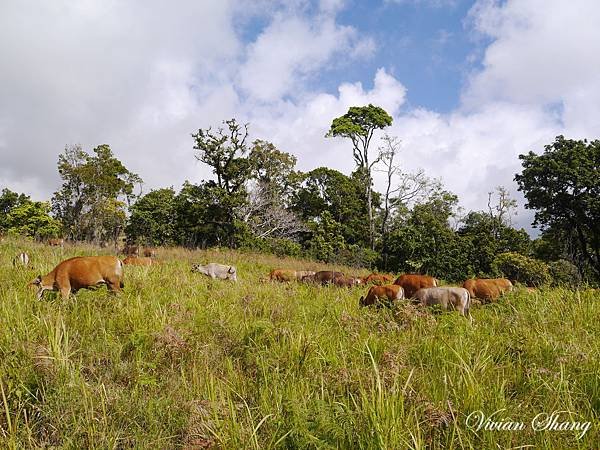 P1180534.JPG