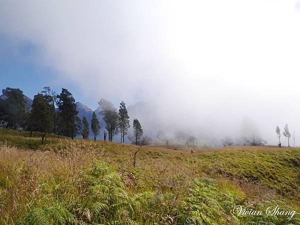 P1180786.JPG