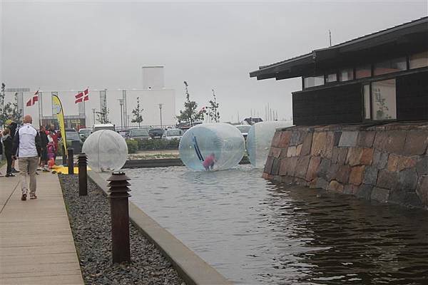 IMG_2306 (Medium).JPG