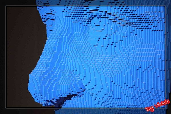 bricks8