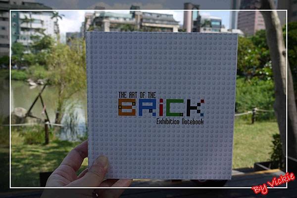 bricks23
