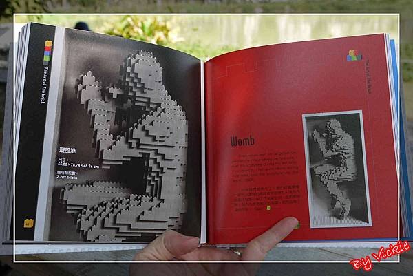 bricks25
