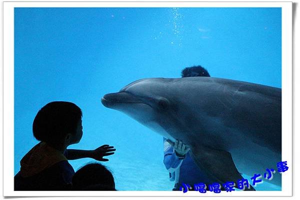 水族館1