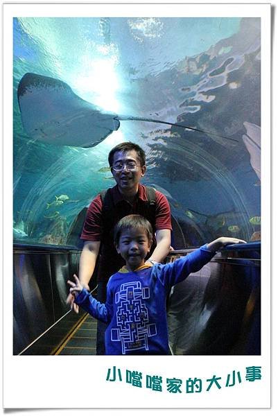 水族館7