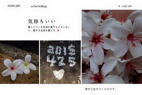 桐花3
