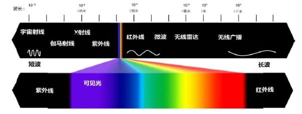 生命之花的古老秘密_225