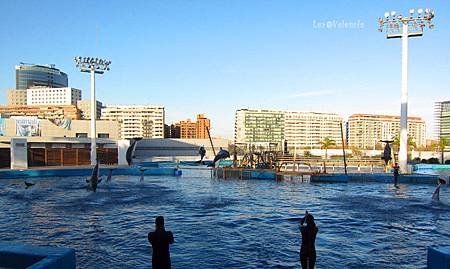 IMG_2551_副本.jpg