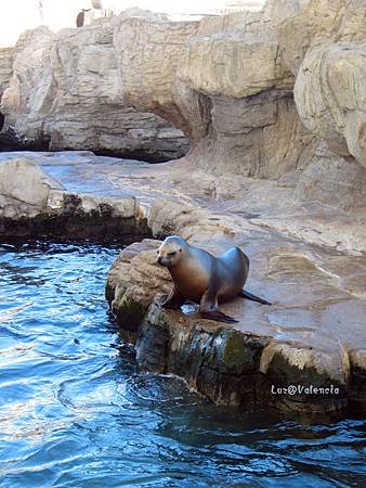 IMG_2039_副本.jpg