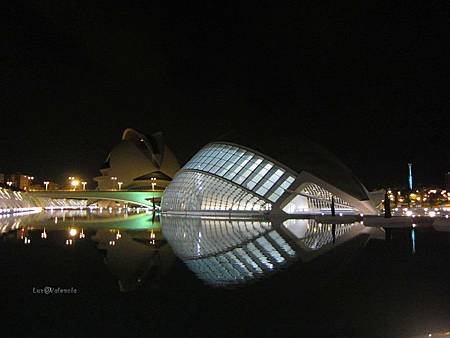 IMG_2641_副本.jpg