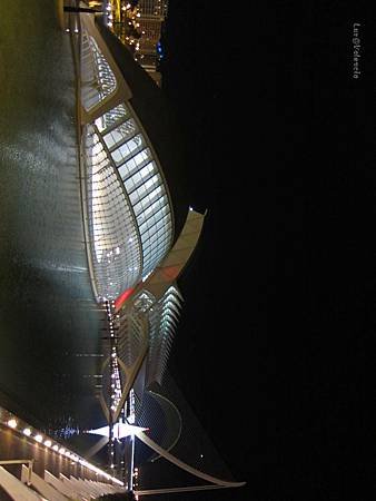 IMG_2652_副本.jpg