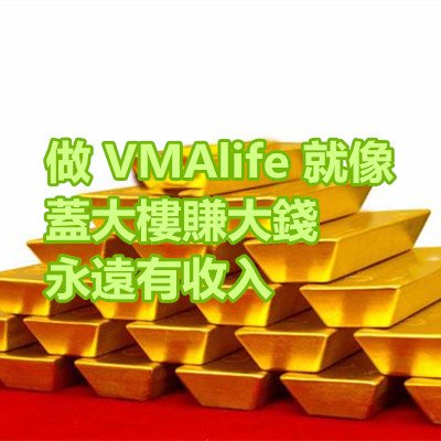 做 VMAlife 就像 蓋大樓賺大錢，永遠有收入