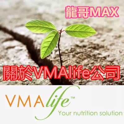 關於VMAlife公司 葳美佳 康美宝