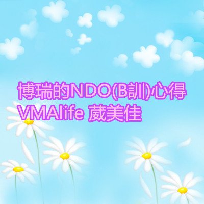 博瑞的NDO ( B訓 ) 心得 VMAlife 葳美佳