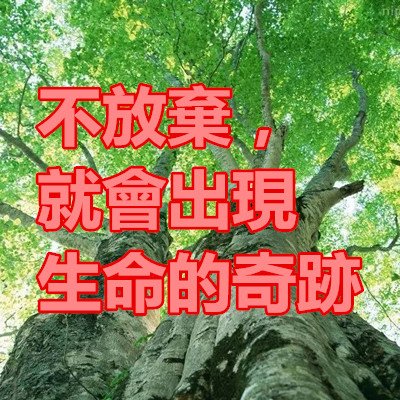 不放棄，就會出現生命的奇跡