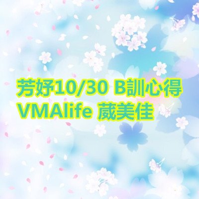 芳妤 B訓心得 VMAlife 葳美佳