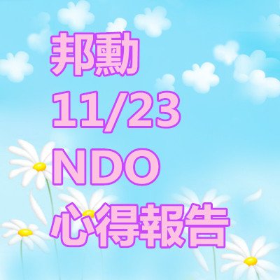 邦勳 NDO 心得報告