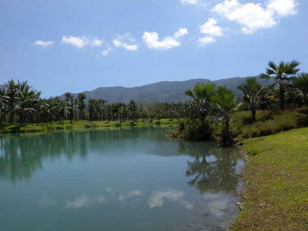DSCN6072.JPG