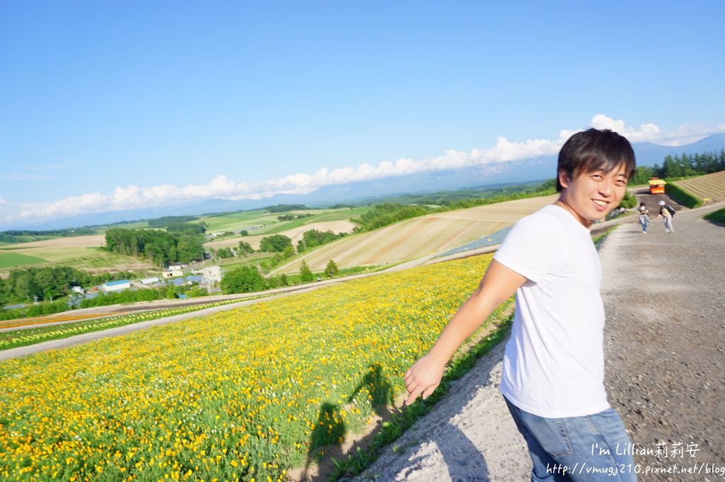 北海道自由行攻略290富田農場 四季彩之丘 富良野 美瑛.JPG