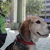 m_DSC01190.jpg