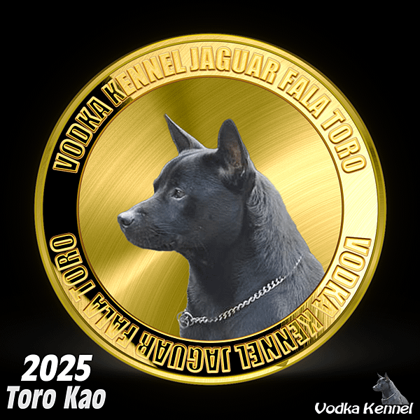 Toro 2025