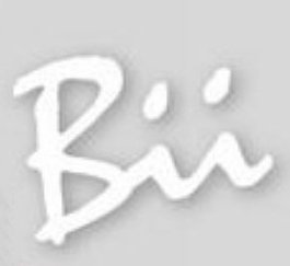 BII-LOGO
