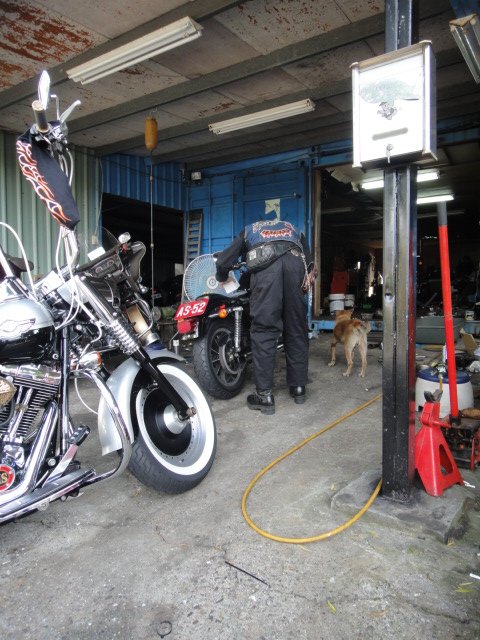 DSC06006.JPG