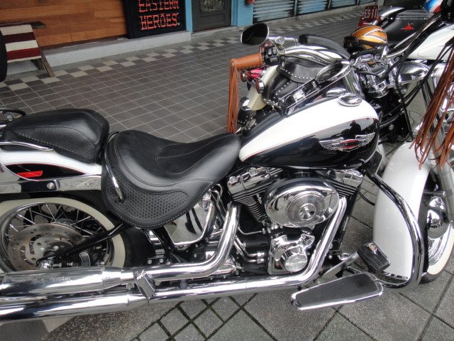 DSC09797.JPG