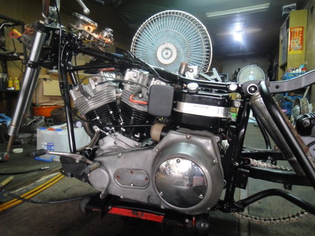 DSC00083.JPG
