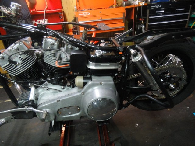 DSC00203.JPG
