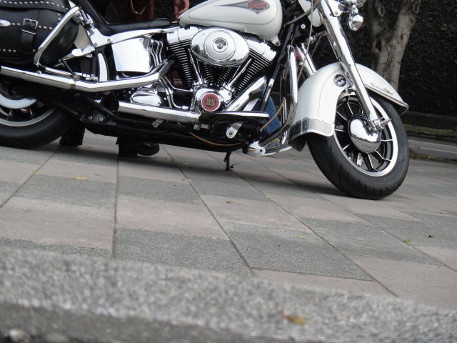 DSC02605.JPG