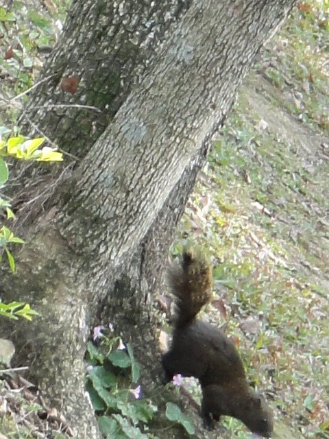 DSC03136.JPG