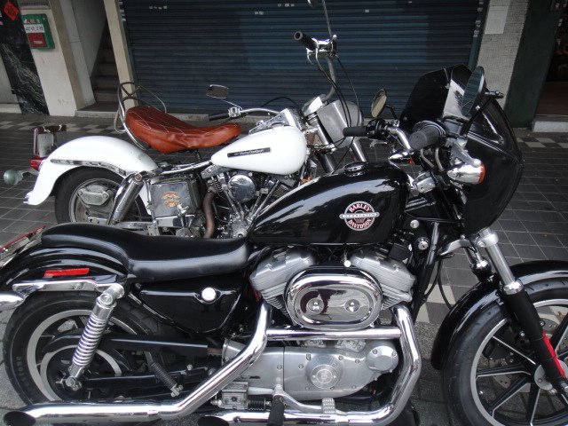 DSC03222.JPG