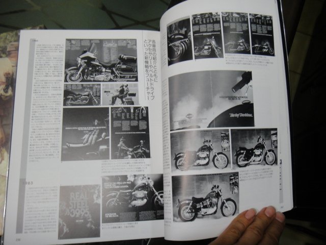 DSC02978.JPG