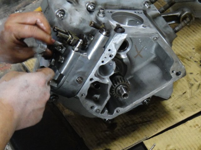DSC03566.JPG