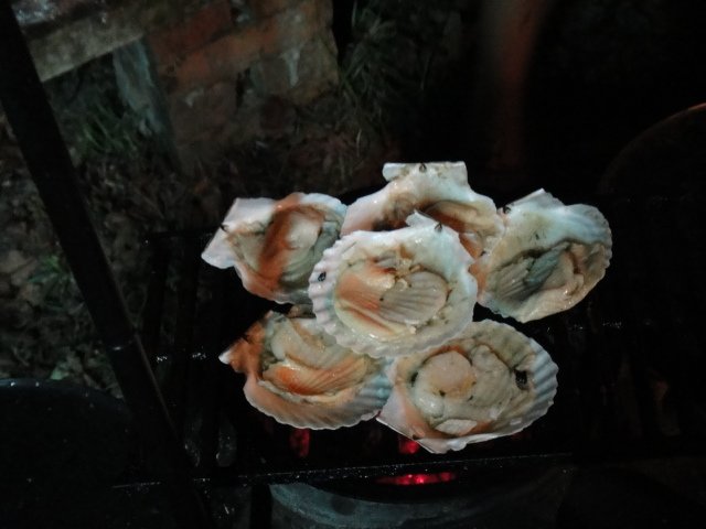DSC04014.JPG