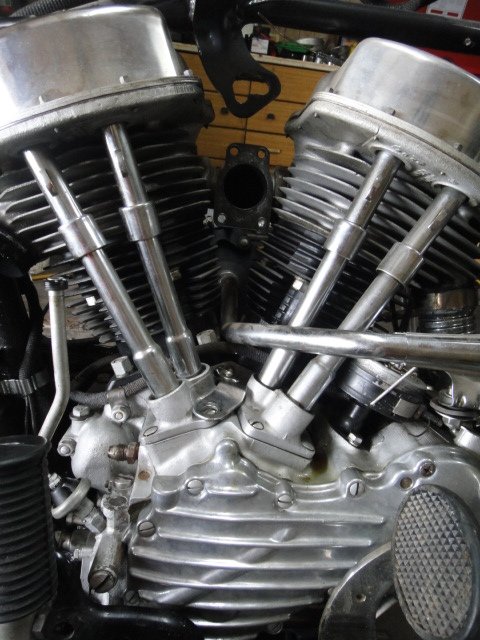 DSC04223.JPG