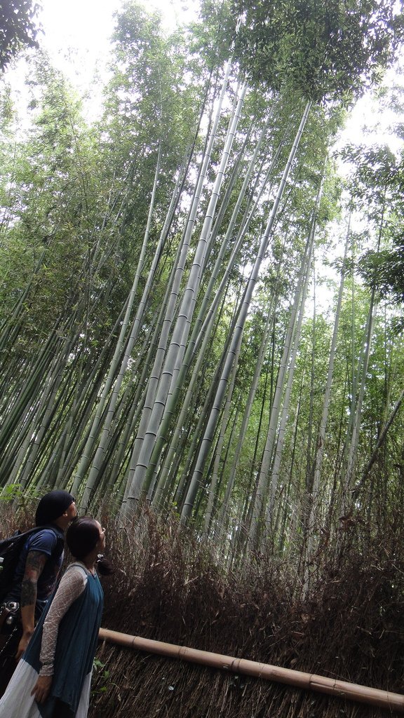 DSC04976.JPG