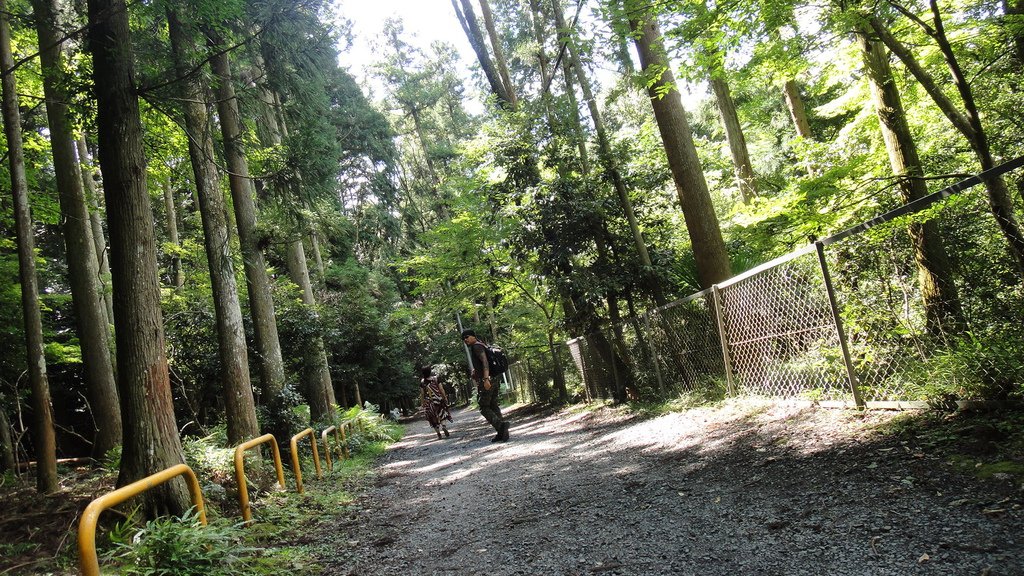 DSC05417.JPG