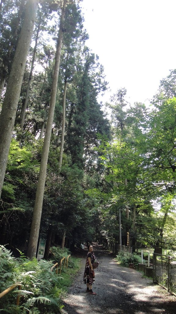 DSC05418.JPG