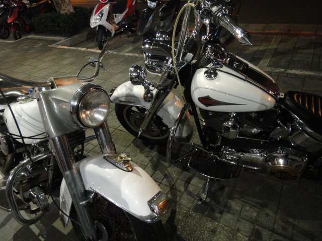 DSC05670.JPG