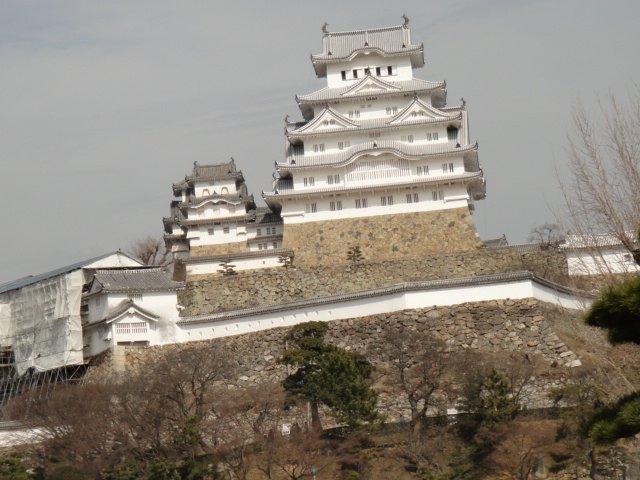 DSC06607.JPG