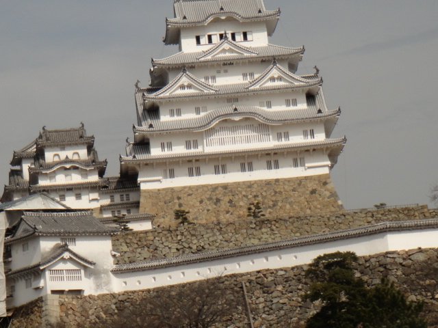 DSC06610.JPG