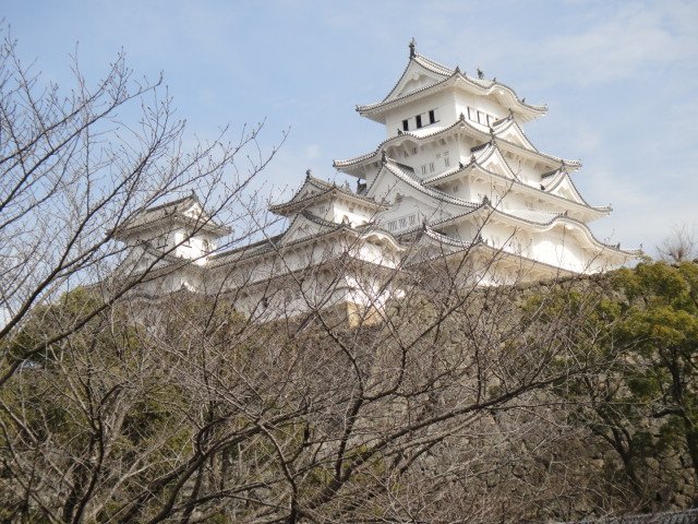 DSC06613.JPG