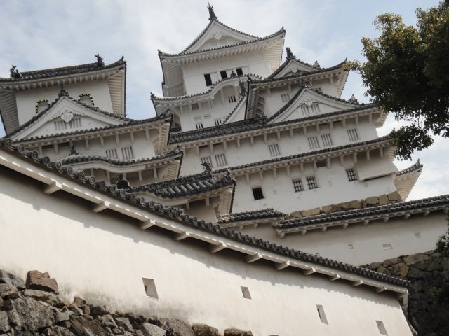 DSC06617.JPG