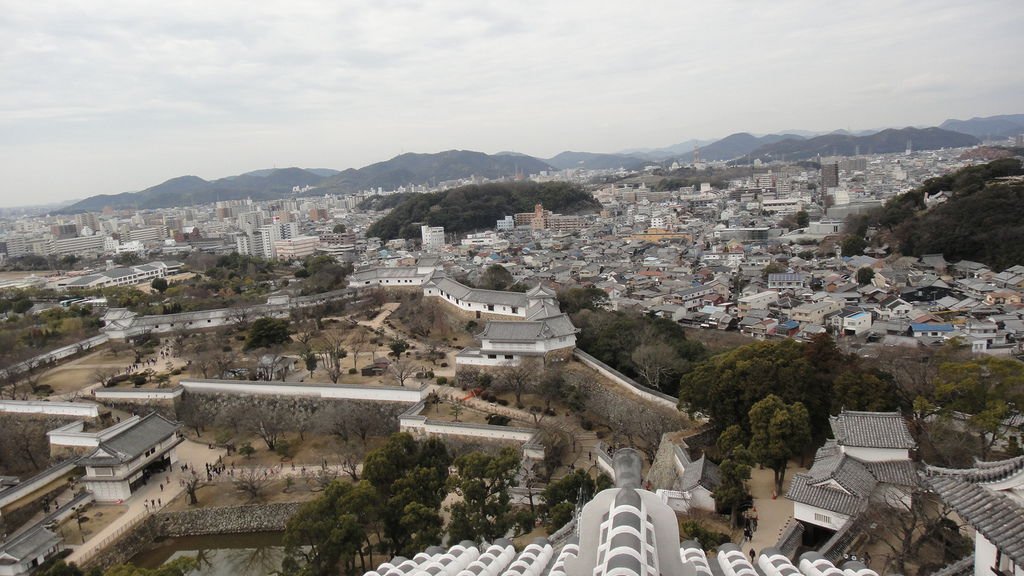 DSC06624.JPG