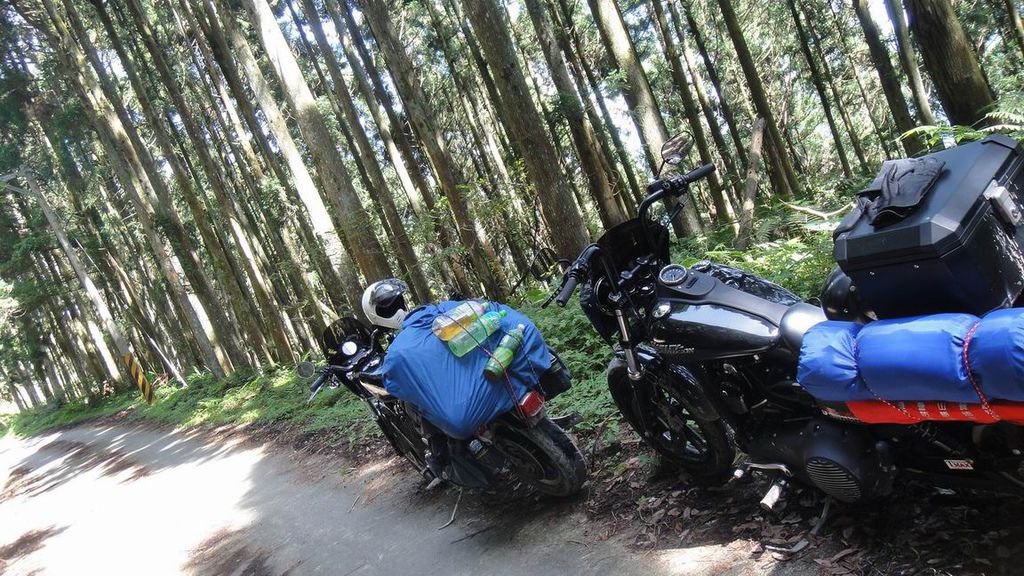 調整大小DSC07495.JPG