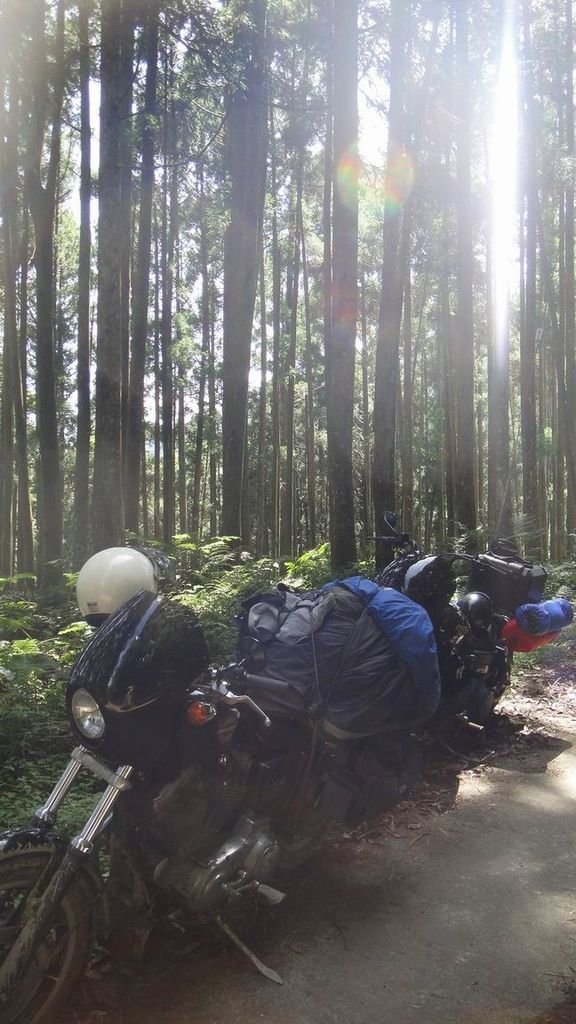 調整大小DSC07496.JPG